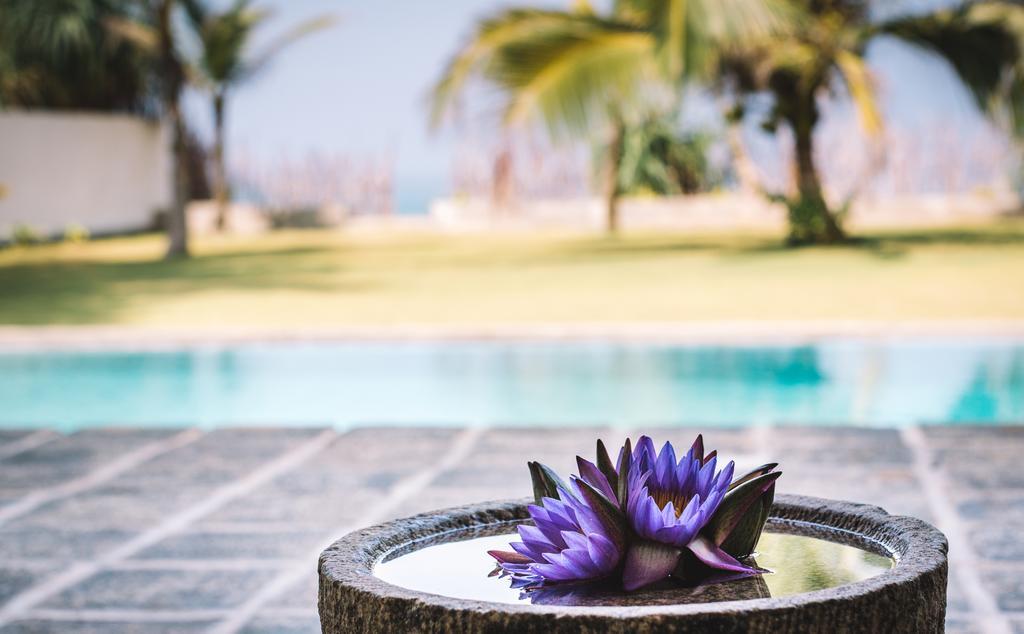 Greenparrot-Villa Ambalangoda  Luaran gambar